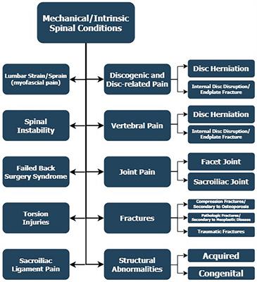 Common differential diagnosis of low back pain in contemporary medical practice: a narrative review
